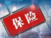重要时刻！第二批险资正式入市，三大布局方向曝光