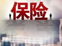 两家外资和小米联手！新财险公司亮相